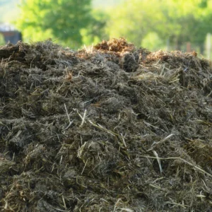 Organic Compost Manure