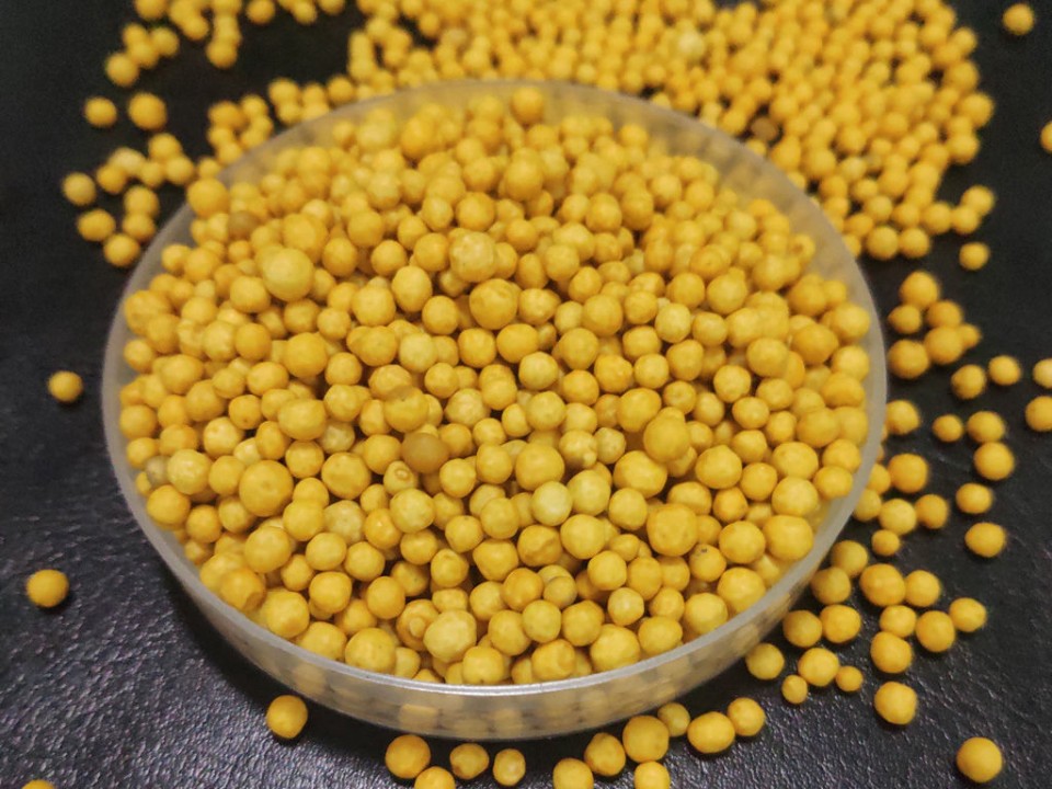 Slow-Release Fertilizers